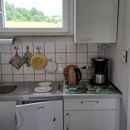 公寓 Harzer Mit Pool Und Sauna 巴特劳特堡