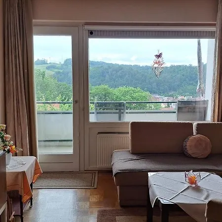 Apartment Harzer Mit Pool Und Sauna