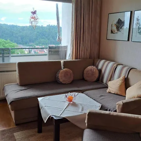 Harzer Mit Pool Und Sauna Apartment